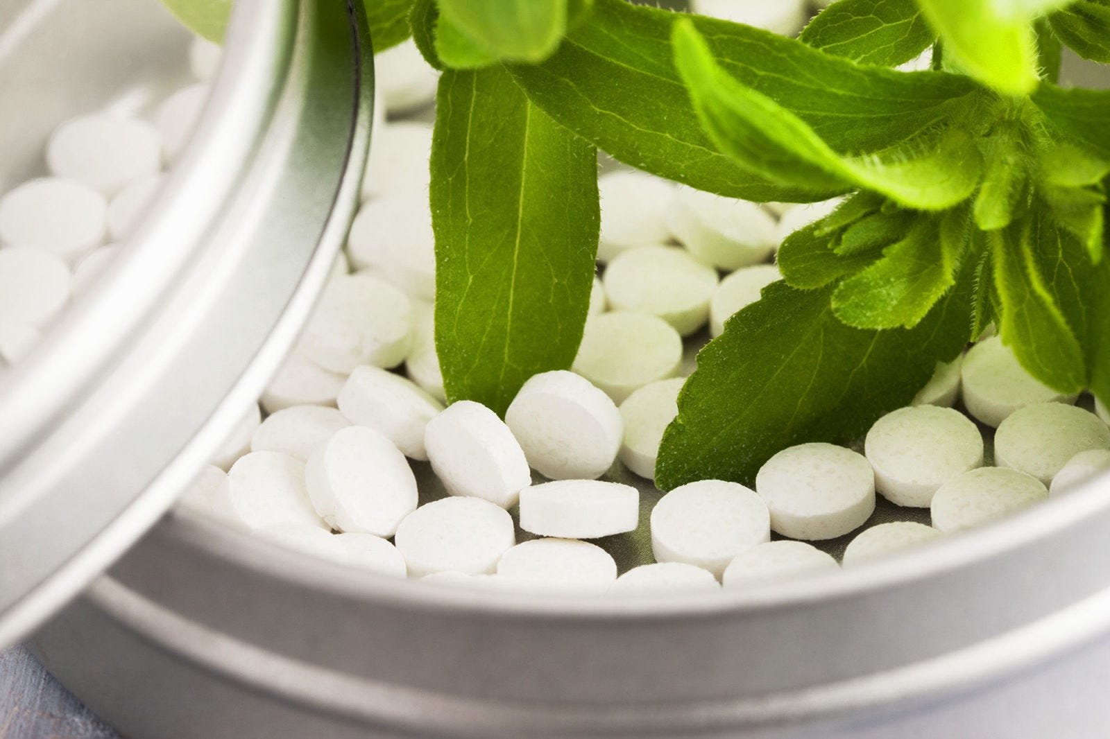 pianta dimagrante stevia